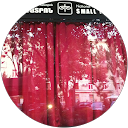 siavash tayeb taher profile picture